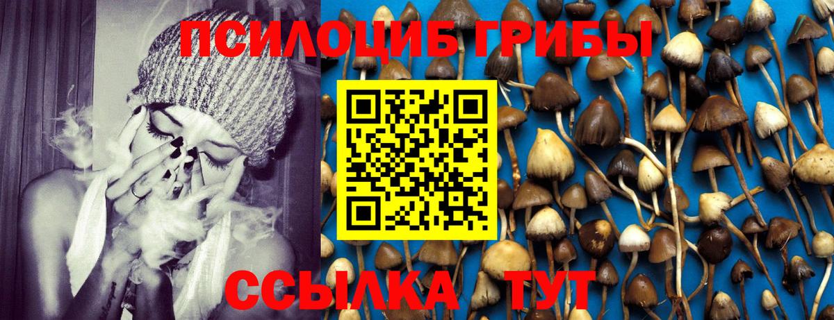 Ярославль  Псилоцибиновые грибы Psilocybine cubensis  наркошоп  Вход с VPN 